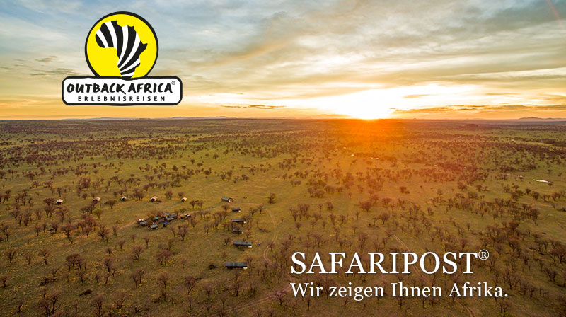 Serengeti View Camp aus der Luft