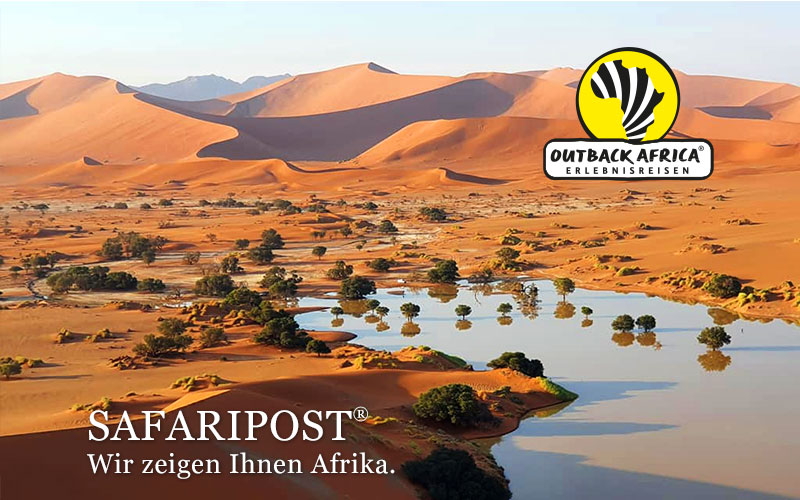 Ergiebige Regenfälle ließen in der Namib-Wüste einen See entstehen.