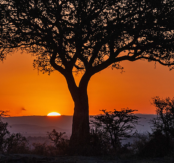 Sonnenaufgang in der Serengeti © Foto: Marco Penzel | Outback Africa