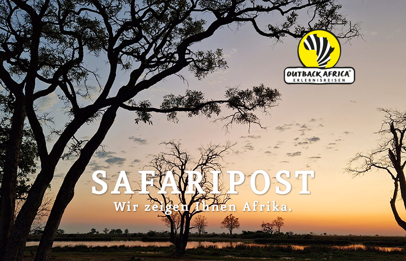 Abendstimmung in Botswana