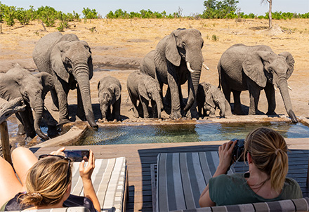 Elefanten am Pool von Somalisa Expeditions © Foto: Marco Penzel | Outback Africa