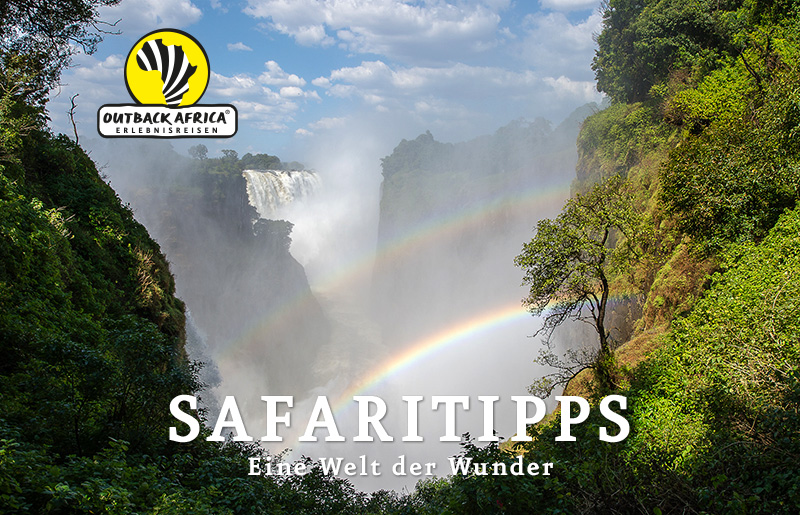 Victoria-Fälle, von Simbabwe aus gesehen. © Foto: Bruce Tylor | Sunway Safaris