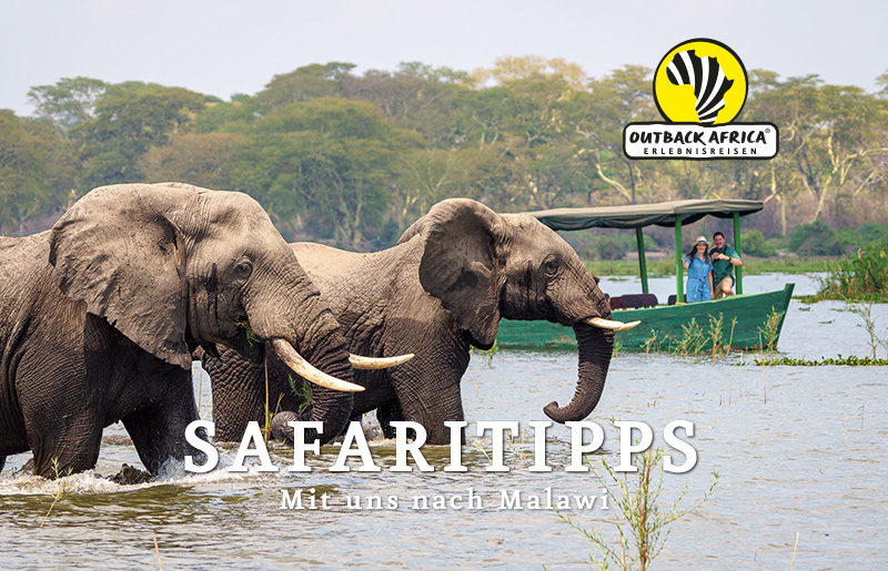 Elefantenbeobachtung im Liwonde Nationalpark © Foto: Robin Pope Safaris