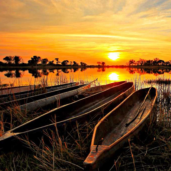 Mokoros im Okavango-Delta © Foto: Arek Marud | Sunway Safaris