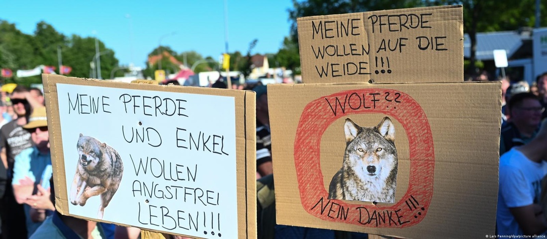 Anti-wolf protest